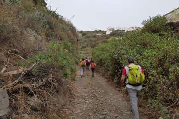 El Barranco de Tundidor (Telde), al golpito (Foto TA)