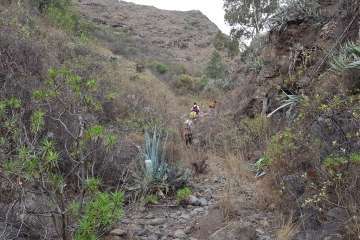 El Barranco de Tundidor (Telde), al golpito (Foto TA)