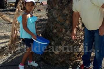 Aliviando la sed de las palmeras en Las Huesas-Telde (Foto TA)