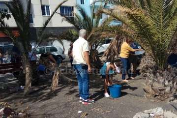 Aliviando la sed de las palmeras en Las Huesas-Telde (Foto TA)