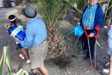Aliviando la sed de las palmeras en Las Huesas-Telde (Foto TA)