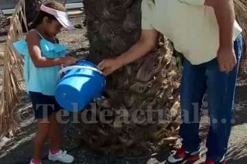 Aliviando la sed de las palmeras en Las Huesas-Telde (Foto TA)