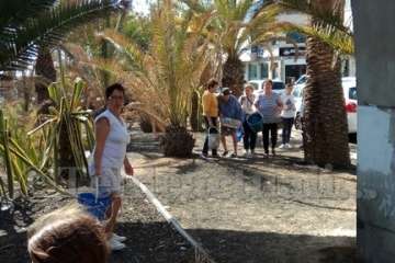 Aliviando la sed de las palmeras en Las Huesas-Telde (Foto TA)