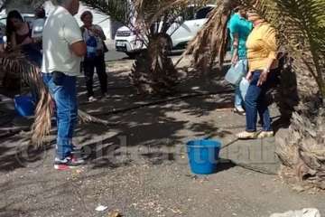 Aliviando la sed de las palmeras en Las Huesas-Telde (Foto TA)