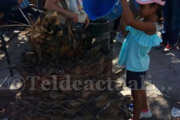 Aliviando la sed de las palmeras en Las Huesas-Telde (Foto TA)