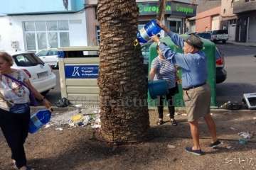 Aliviando la sed de las palmeras en Las Huesas-Telde (Foto TA)