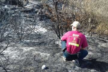 Humo cero en la cumbre de Telde tras el incendio del domingo que afectó a tres hectáreas (Foto TA)