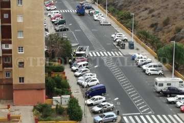 El viento también derribo un árbol en el Valle de Jinámar (Foto TA)