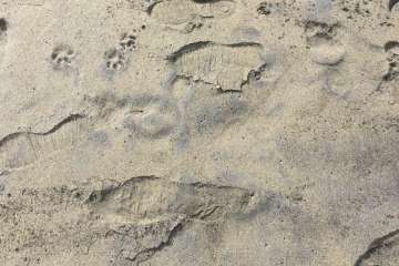 Usuarios advierten de finas manchas de alquitrán en La Garita-Telde (Foto TA)