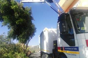 Poda en El Palmital Bajo para evitar inseguridad a los vecinos (Foto TA)