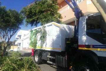 Poda en El Palmital Bajo para evitar inseguridad a los vecinos (Foto TA)