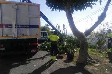 Poda en El Palmital Bajo para evitar inseguridad a los vecinos (Foto TA)
