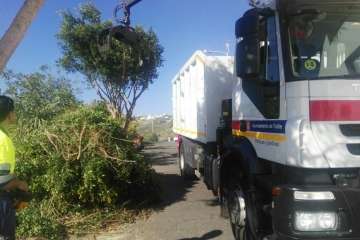 Poda en El Palmital Bajo para evitar inseguridad a los vecinos (Foto TA)