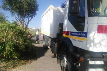 Poda en El Palmital Bajo para evitar inseguridad a los vecinos (Foto TA)