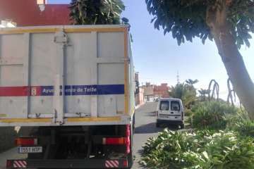 Poda en El Palmital Bajo para evitar inseguridad a los vecinos (Foto TA)