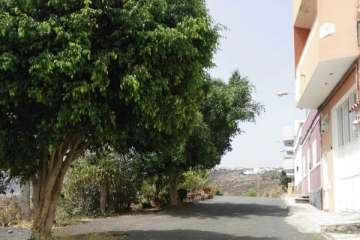 Poda en El Palmital Bajo para evitar inseguridad a los vecinos (Foto TA)