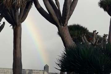 Arcoíris en el cielo de Telde en el día de Reyes (Foto Gumersindo Hernández y Darío Benítez)
