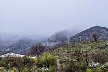 La nieve cubre los alrededores de Tejeda (Foto TA)