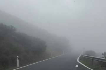 La niebla cubre las carreteras de Artenara (Foto TA)