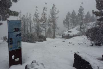 Frío, viento y nieve en la cumbre de Gran Canaria (Foto TA)
