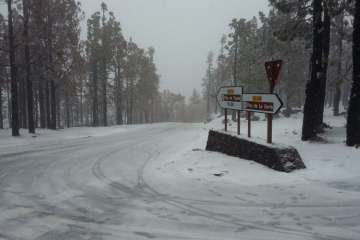 Tras un 'impase' de varias horas, por la tarde ha vuelto a nevar en la cumbre (Foto TA)
