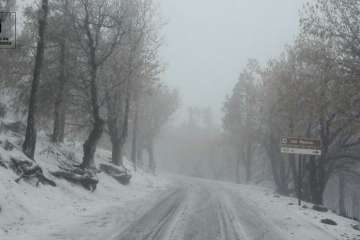 Tras un 'impase' de varias horas, por la tarde ha vuelto a nevar en la cumbre (Foto TA)
