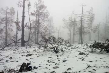 Jornada desapacible en la cumbre (Foto TA)