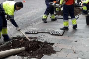 Parques y Jardines sustituye los árboles de Poeta Fernando González por arbustos de porte medio (Foto TA)