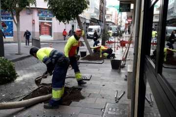 Parques y Jardines sustituye los árboles de Poeta Fernando González por arbustos de porte medio (Foto TA)