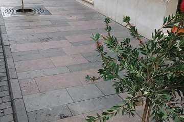 Parques y Jardines sustituye los árboles de Poeta Fernando González por arbustos de porte medio (Foto TA)