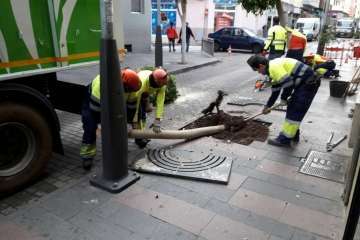 Parques y Jardines sustituye los árboles de Poeta Fernando González por arbustos de porte medio (Foto TA)