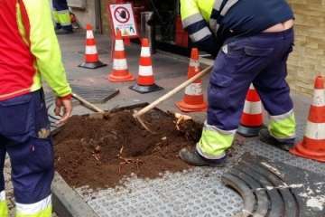 Parques y Jardines sustituye los árboles de Poeta Fernando González por arbustos de porte medio (Foto TA)