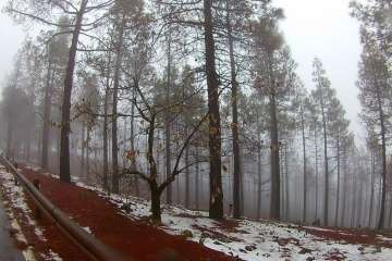 Accesos abiertos a la cumbre, salvo tres, tras la nevada histórica de ayer (Foto TA)