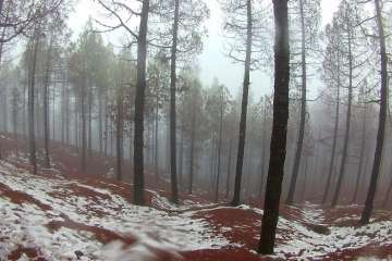 Accesos abiertos a la cumbre, salvo tres, tras la nevada histórica de ayer (Foto TA)