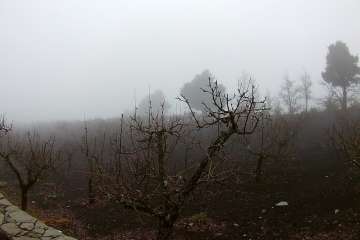 Accesos abiertos a la cumbre, salvo tres, tras la nevada histórica de ayer (Foto TA)