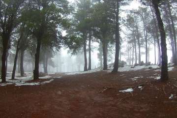 Accesos abiertos a la cumbre, salvo tres, tras la nevada histórica de ayer (Foto TA)