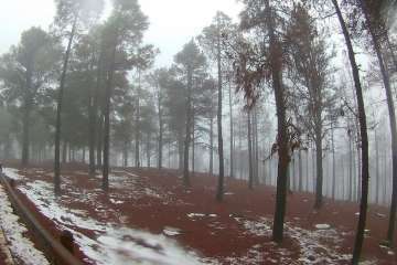 Accesos abiertos a la cumbre, salvo tres, tras la nevada histórica de ayer (Foto TA)