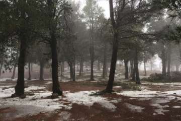 Accesos abiertos a la cumbre, salvo tres, tras la nevada histórica de ayer (Foto TA)