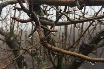 Accesos abiertos a la cumbre, salvo tres, tras la nevada histórica de ayer (Foto TA)