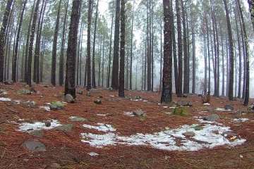 Accesos abiertos a la cumbre, salvo tres, tras la nevada histórica de ayer (Foto TA)