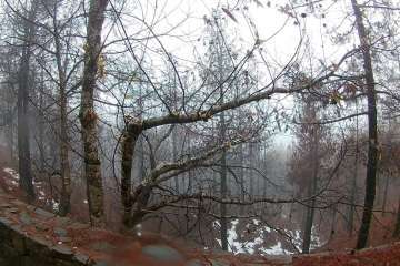 Accesos abiertos a la cumbre, salvo tres, tras la nevada histórica de ayer (Foto TA)