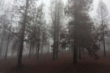 Accesos abiertos a la cumbre, salvo tres, tras la nevada histórica de ayer (Foto TA)