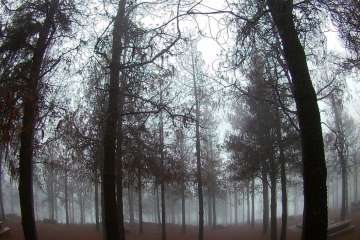 Accesos abiertos a la cumbre, salvo tres, tras la nevada histórica de ayer (Foto TA)