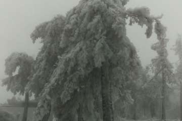 Accesos abiertos a la cumbre, salvo tres, tras la nevada histórica de ayer (Foto TA)