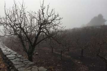 Accesos abiertos a la cumbre, salvo tres, tras la nevada histórica de ayer (Foto TA)