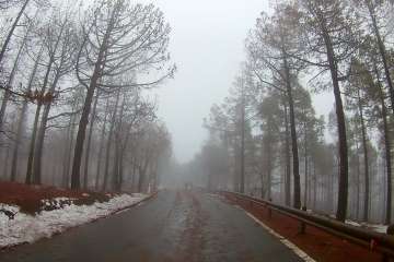 Accesos abiertos a la cumbre, salvo tres, tras la nevada histórica de ayer (Foto TA)