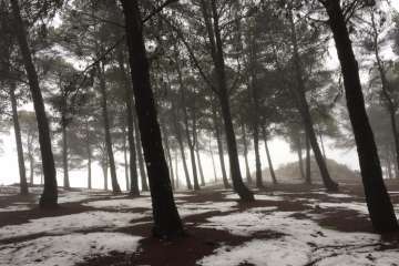 Accesos abiertos a la cumbre, salvo tres, tras la nevada histórica de ayer (Foto TA)