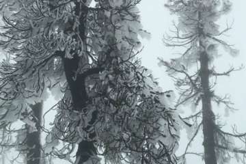 Accesos abiertos a la cumbre, salvo tres, tras la nevada histórica de ayer (Foto TA)