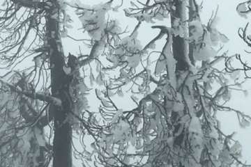 Accesos abiertos a la cumbre, salvo tres, tras la nevada histórica de ayer (Foto TA)