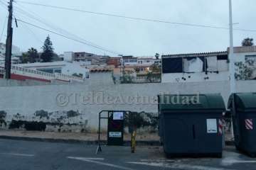 Vecinos de Playa del Hombre denuncian la tala de palmeras canarias en un solar privado (Foto TA)